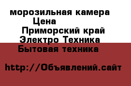 морозильная камера › Цена ­ 13 000 - Приморский край Электро-Техника » Бытовая техника   